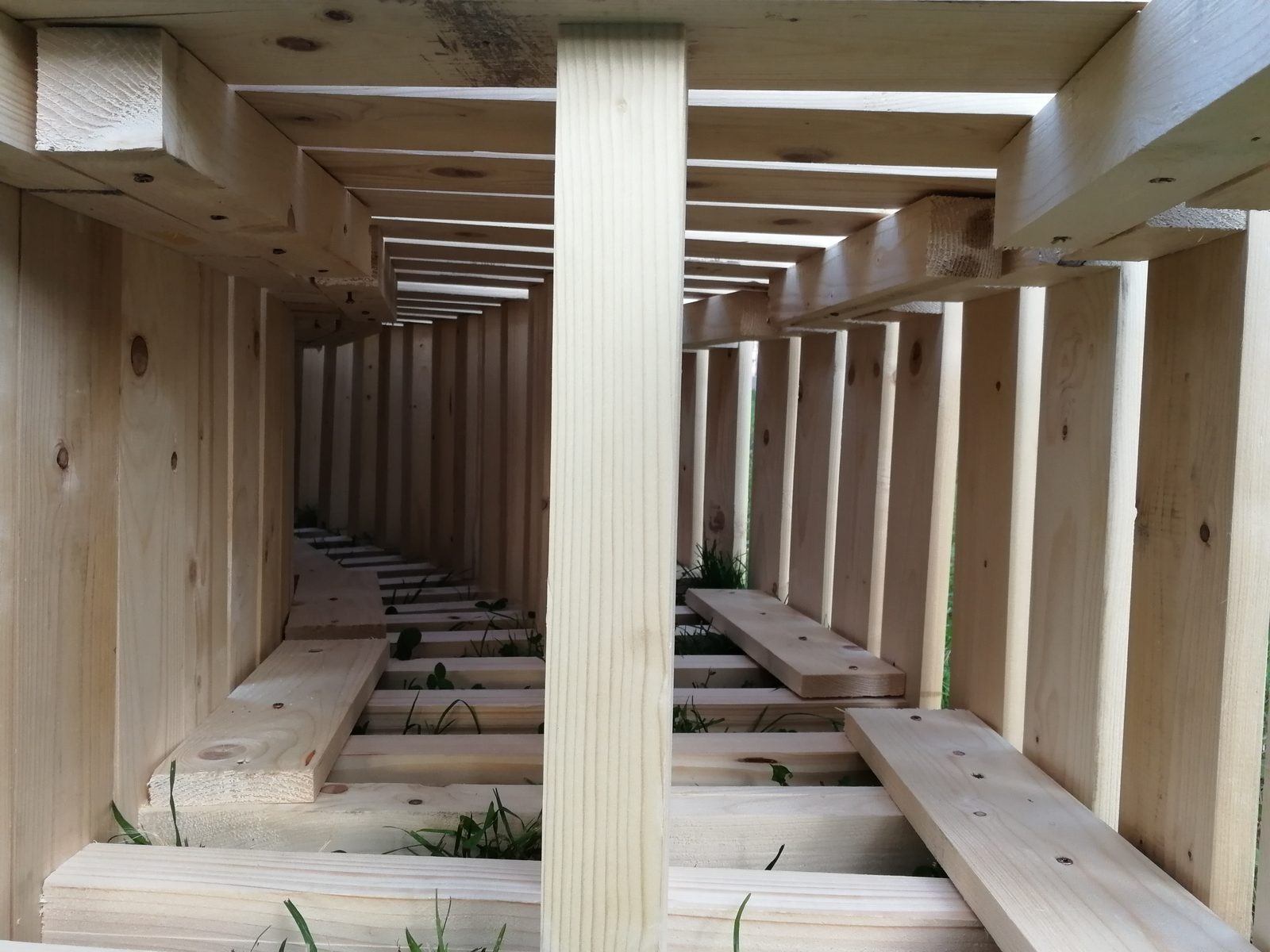 Cantiere Cerchio — verifica geometria circolare