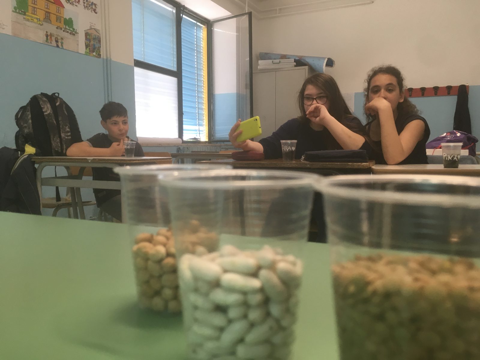 Colla Lab III Fase 1 — lavoro in gruppo sulle proposte progettuali