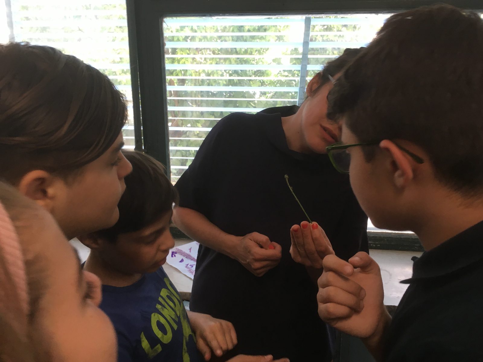 Colla Lab III Fase 2 — lavorazione manuale con gli studenti