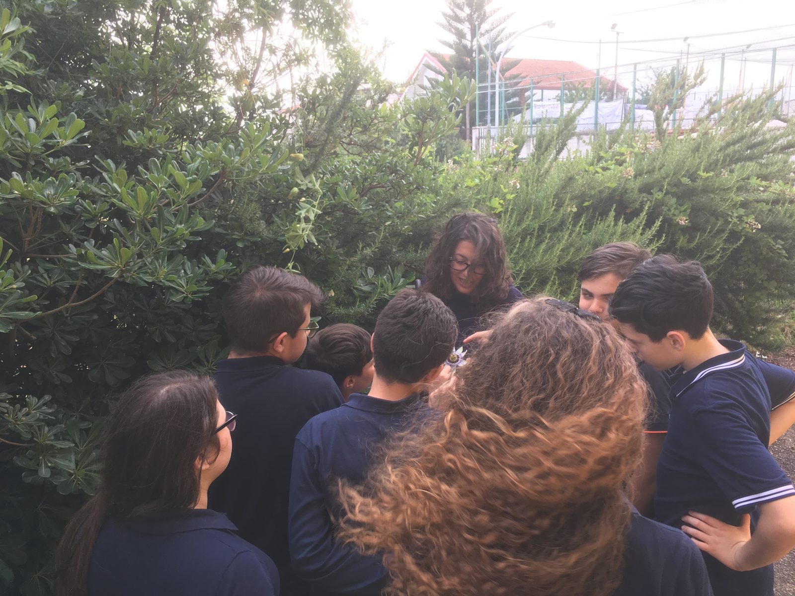 Colla Lab III Fase 2 — posa della copertura trasparente della serra