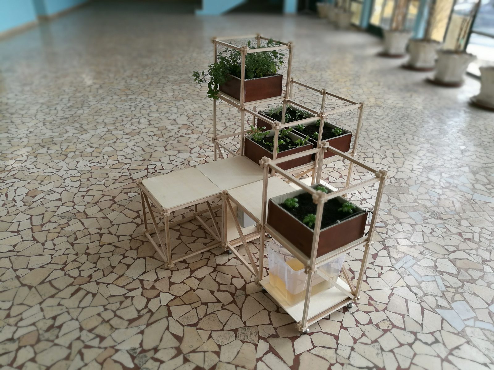 Colla Lab III — la serra interattiva, Vitulazio 2018